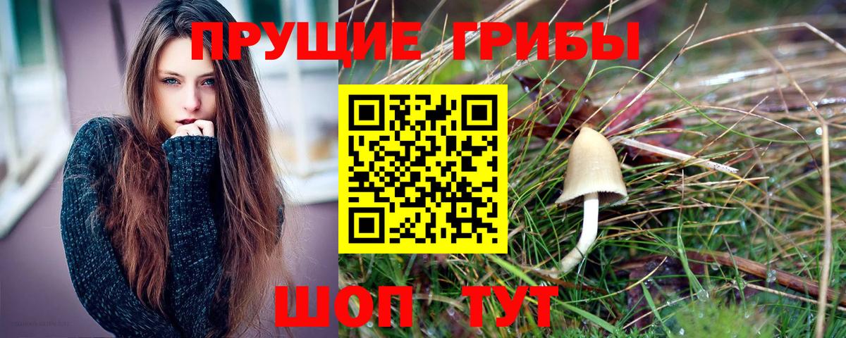 Псилоцибиновые грибы Magic Shrooms  Псилоцибиновые грибы Psilocybe  Вход с VPN  Махачкала 